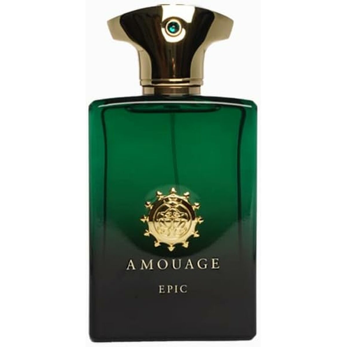 Men's Perfume Amouage EDP Epic Man 100 ml